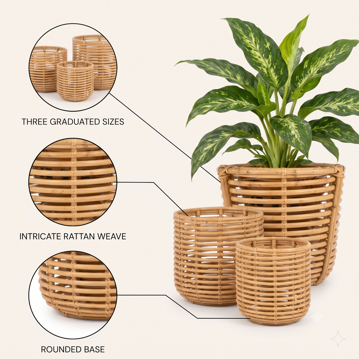 Rattan Planter (SET)