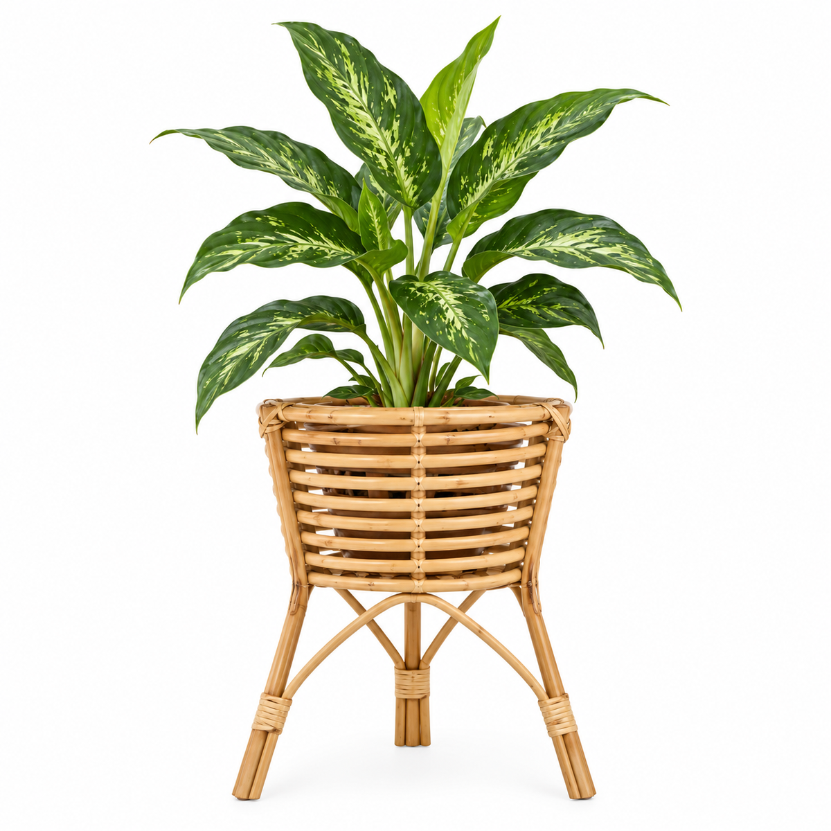 Rattan Planter