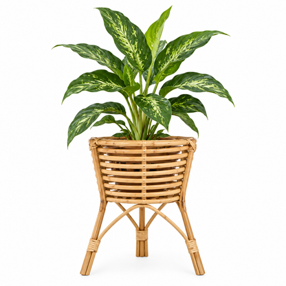 Rattan Planter
