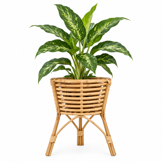 Rattan Planter